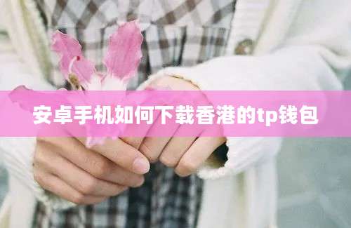 安卓手机如何下载香港的tp钱包