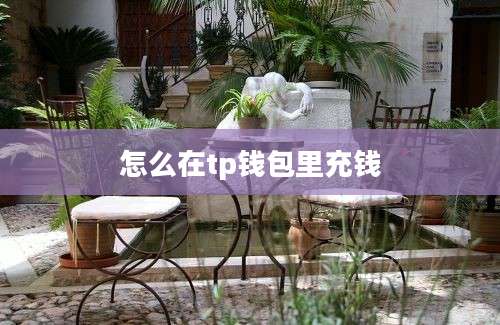 怎么在tp钱包里充钱