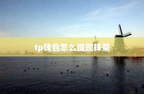 tp钱包怎么提现抹茶