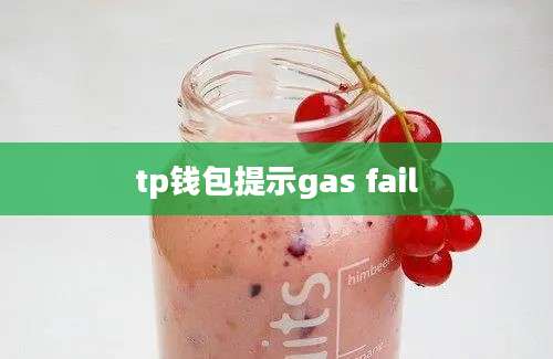 tp钱包提示gas fail