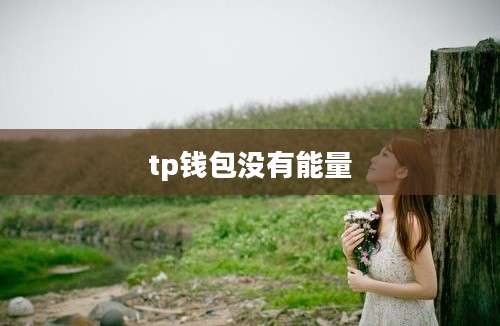 tp钱包没有能量