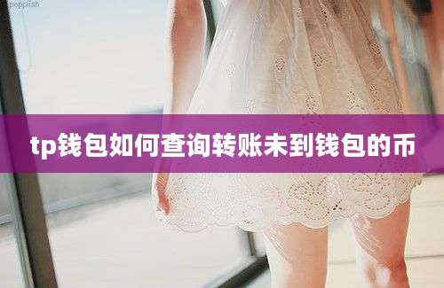 tp钱包如何查询转账未到钱包的币