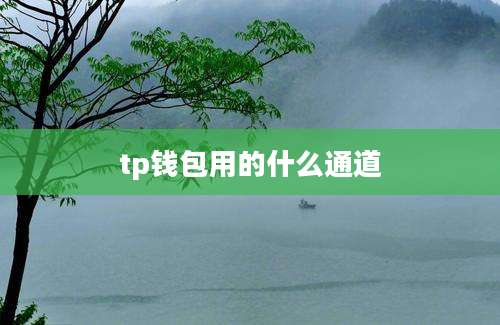 tp钱包用的什么通道