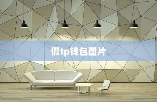 假tp钱包图片