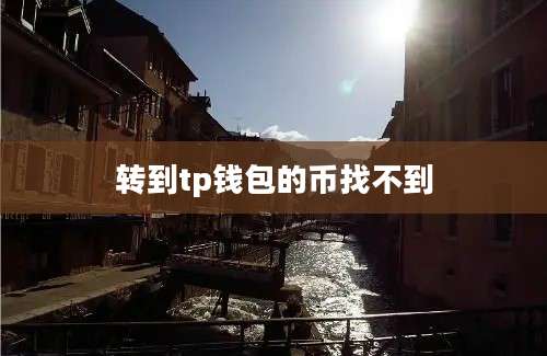 转到tp钱包的币找不到