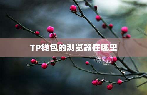 TP钱包的浏览器在哪里