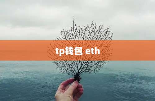 tp钱包 eth