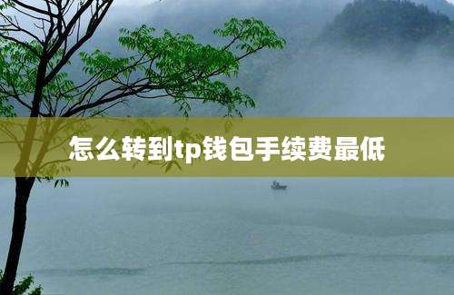 怎么转到tp钱包手续费最低