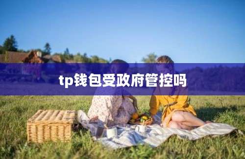 tp钱包受政府管控吗