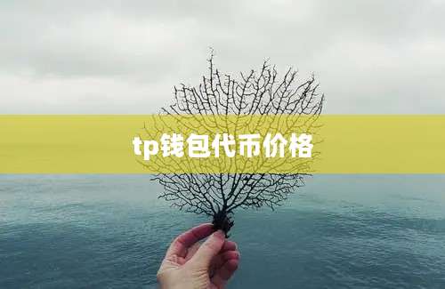 tp钱包代币价格