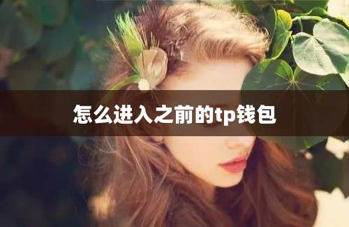 怎么进入之前的tp钱包