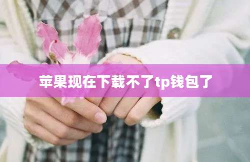 苹果现在下载不了tp钱包了