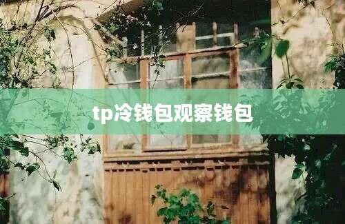 tp冷钱包观察钱包