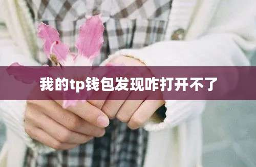 我的tp钱包发现咋打开不了