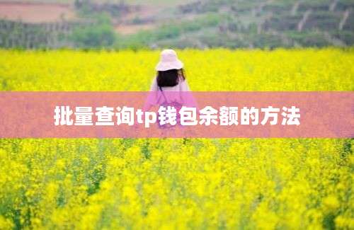 批量查询tp钱包余额的方法