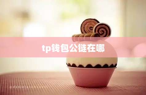 tp钱包公链在哪
