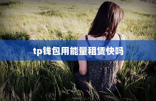 tp钱包用能量租赁快吗