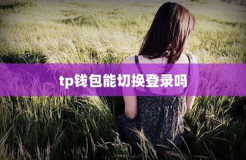 tp钱包能切换登录吗