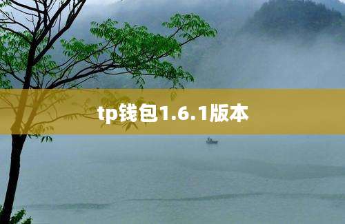 tp钱包1.6.1版本