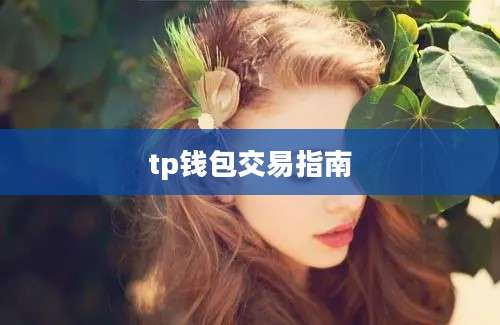 tp钱包交易指南