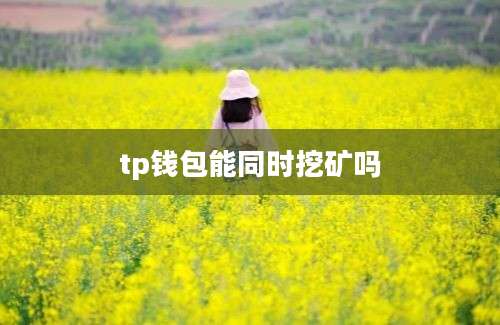 tp钱包能同时挖矿吗