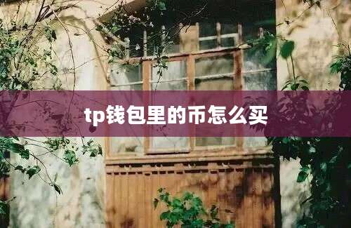 tp钱包里的币怎么买