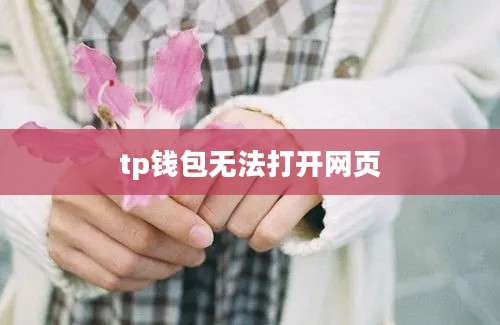 tp钱包无法打开网页