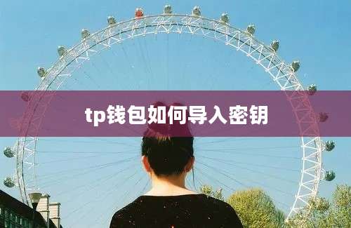 tp钱包如何导入密钥
