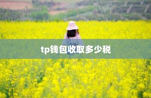 tp钱包收取多少税