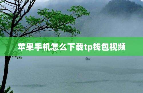 苹果手机怎么下载tp钱包视频