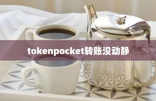 tokenpocket转账没动静