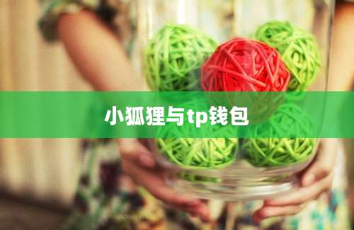 小狐狸与tp钱包