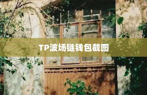 TP波场链钱包截图