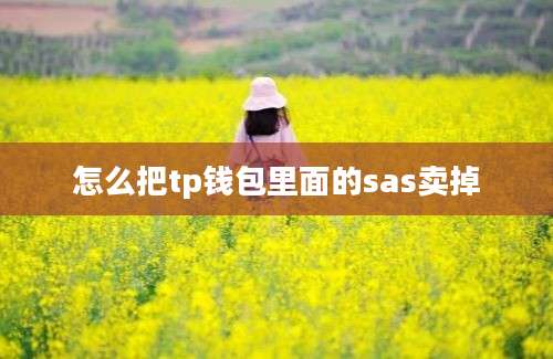 怎么把tp钱包里面的sas卖掉