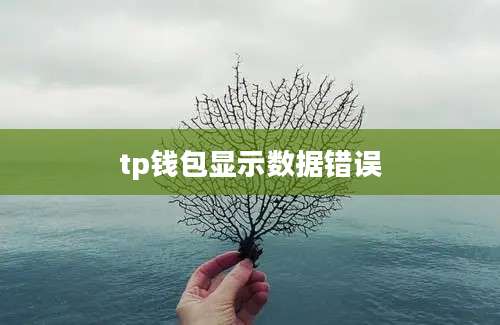 tp钱包显示数据错误