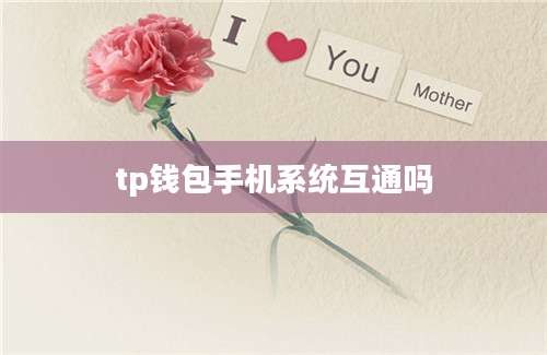 tp钱包手机系统互通吗