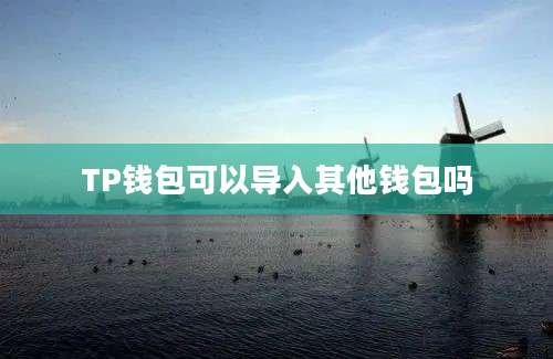 TP钱包可以导入其他钱包吗
