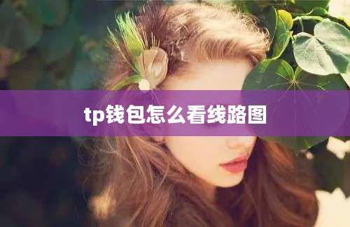 tp钱包怎么看线路图