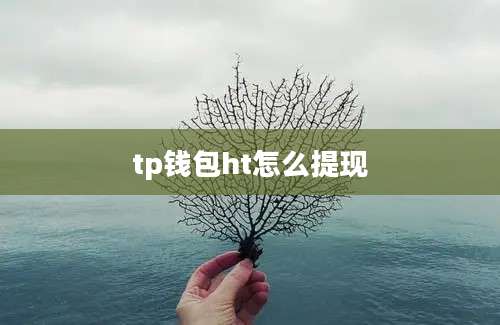 tp钱包ht怎么提现