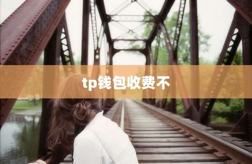 tp钱包收费不