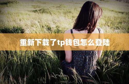 重新下载了tp钱包怎么登陆