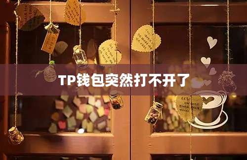 TP钱包突然打不开了