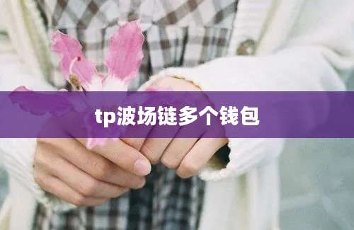 tp波场链多个钱包