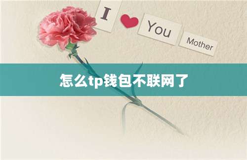 怎么tp钱包不联网了