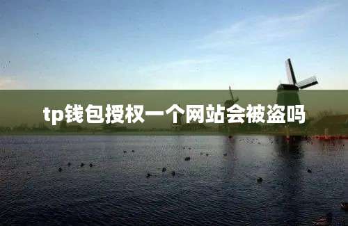 tp钱包授权一个网站会被盗吗