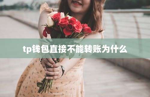 tp钱包直接不能转账为什么