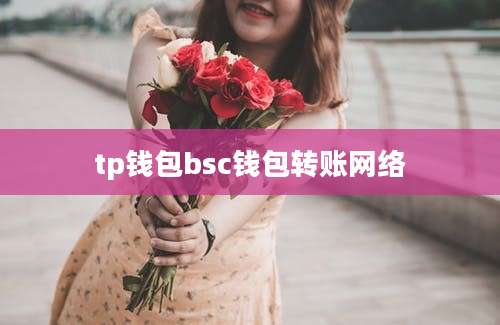 tp钱包bsc钱包转账网络